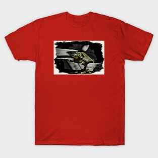 Frog in the dark T-Shirt